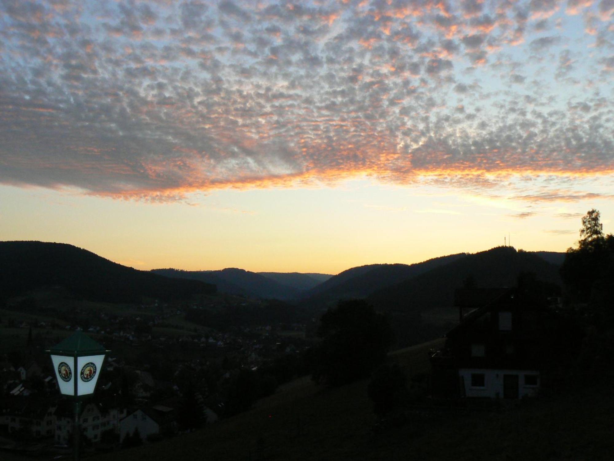 Pension Talblick Baiersbronn Luaran gambar