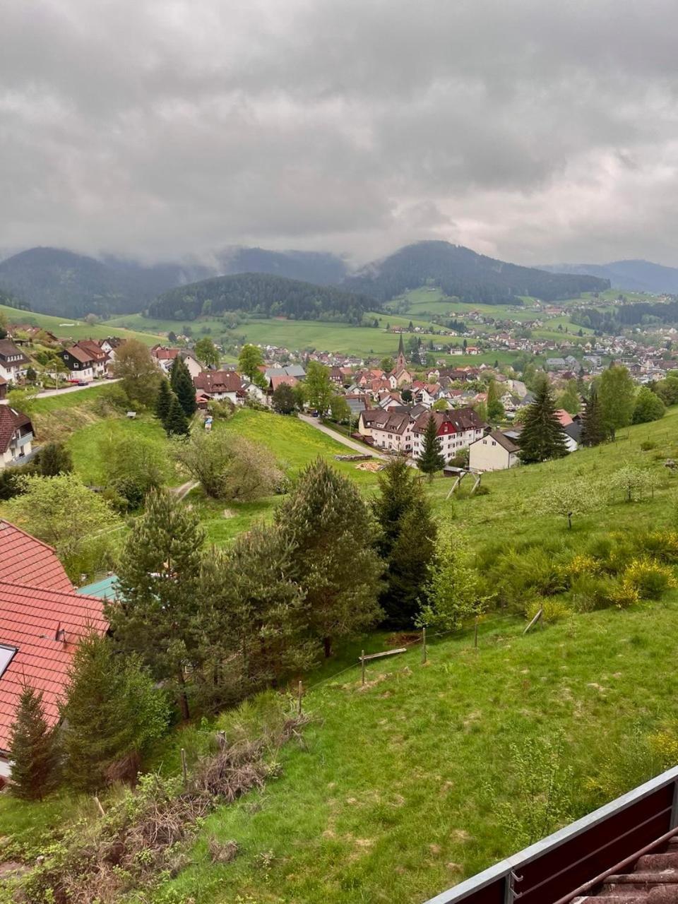 Pension Talblick Baiersbronn Luaran gambar
