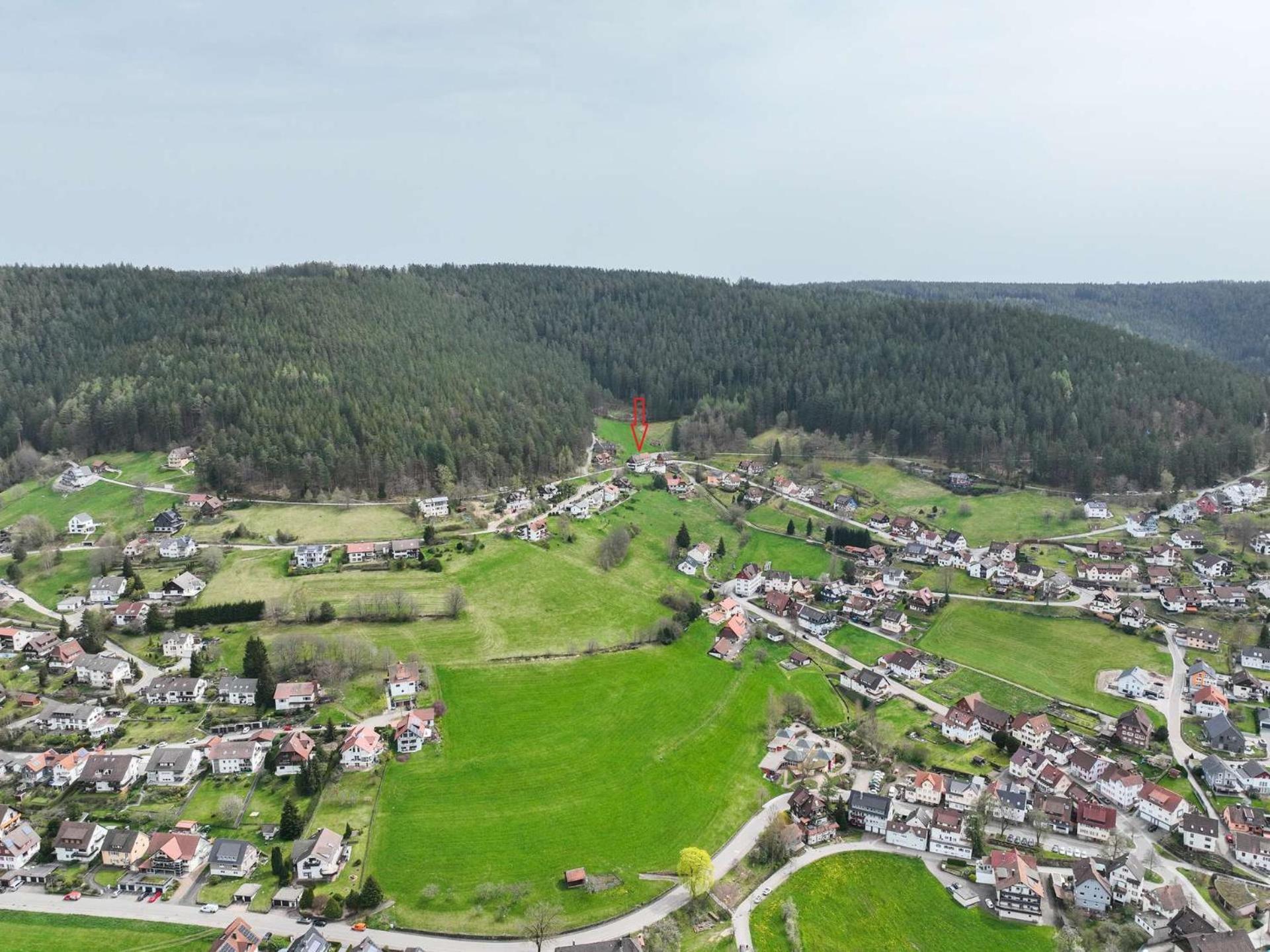 Pension Talblick Baiersbronn Luaran gambar
